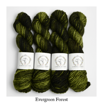 Evergreen Forest