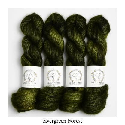 Evergreen Forest