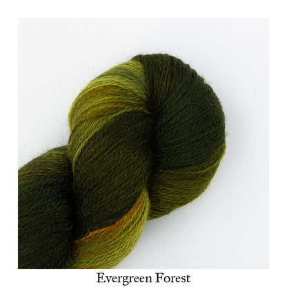 Evergreen Forest