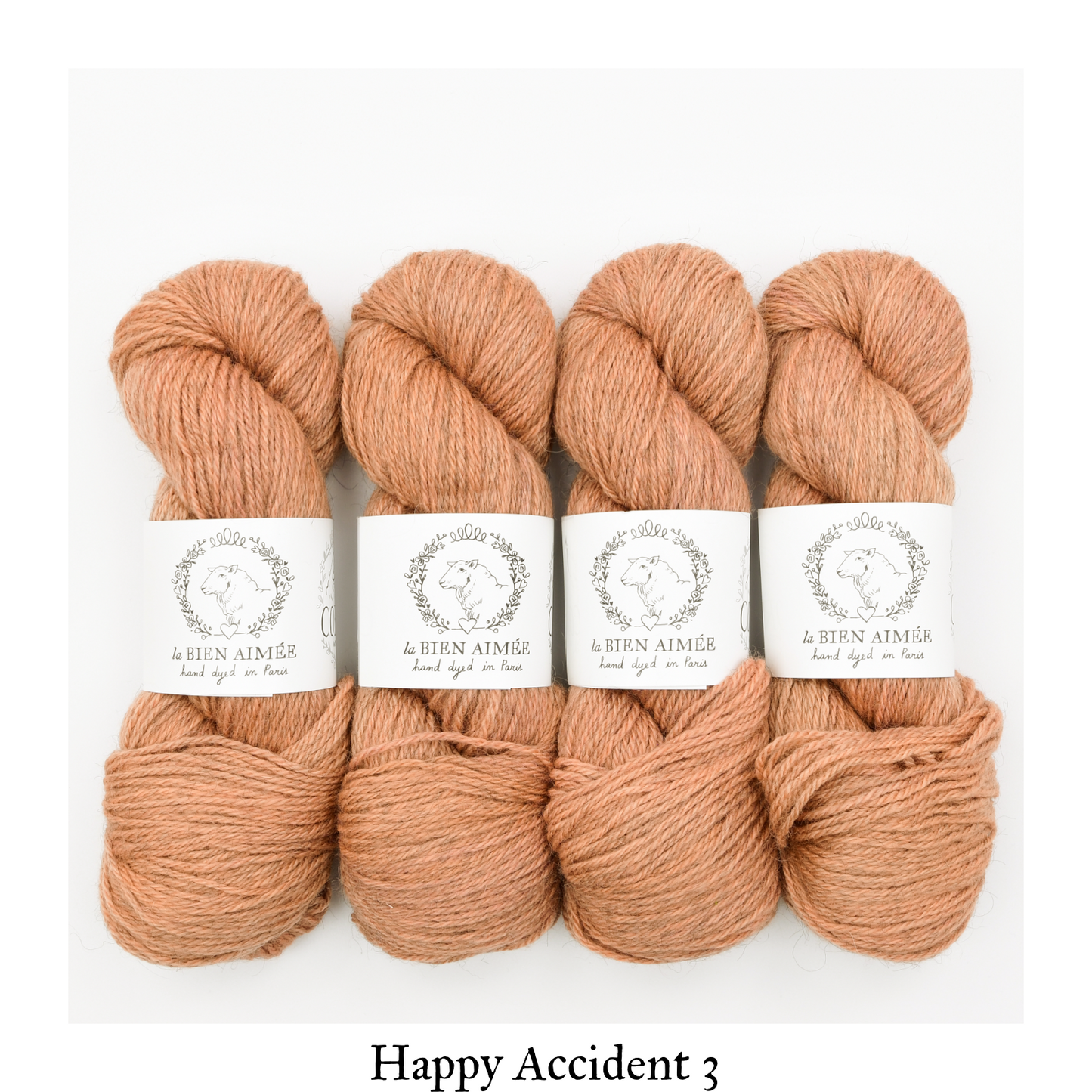 Corrie Worsted Happy Accidents