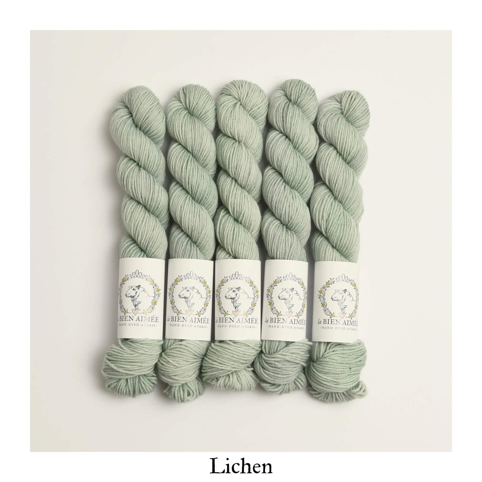 Mini Skeins Sock Yarn Set – The Lovina Shop